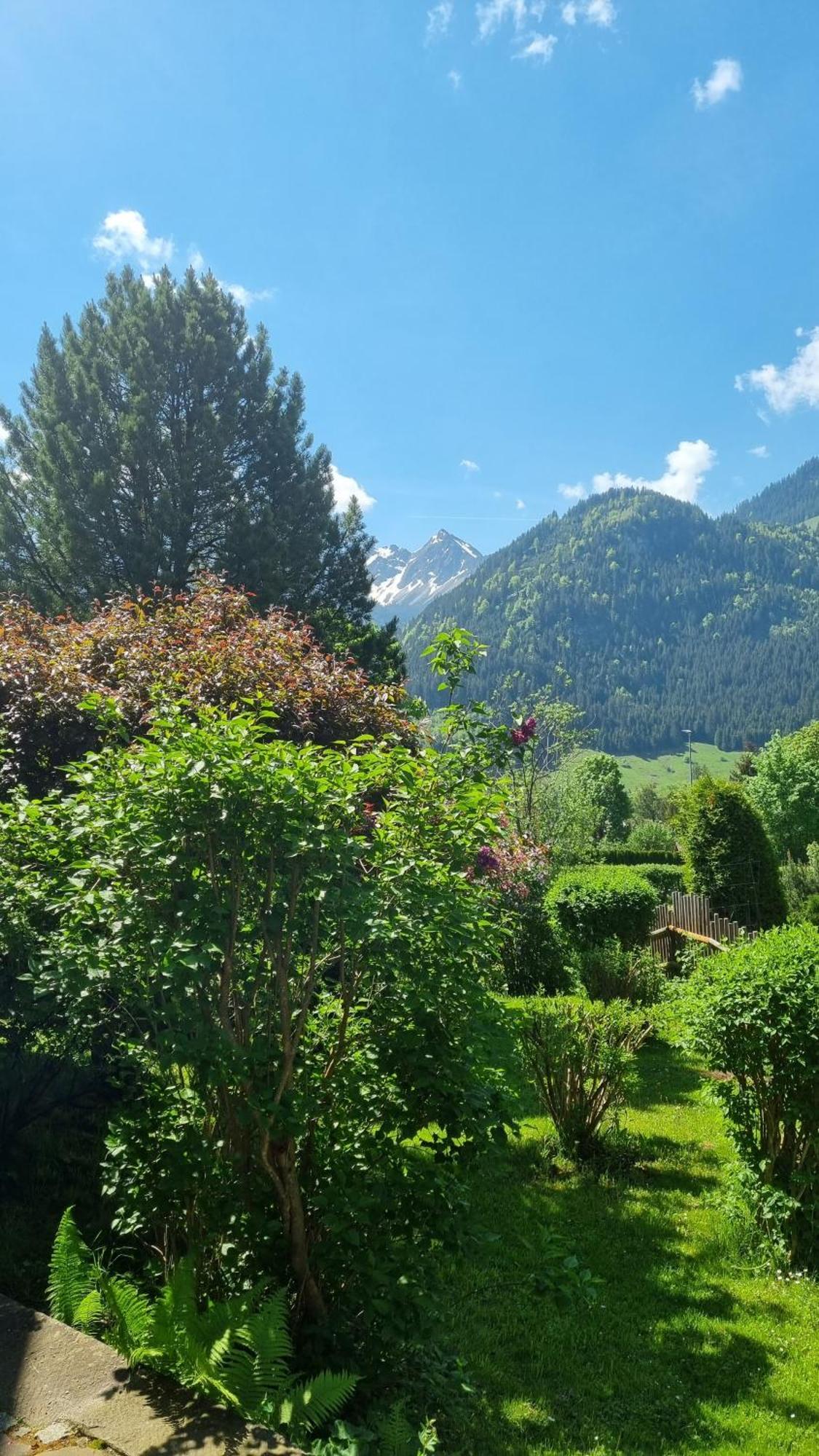 Landhaus Via Decia - Bad Hindelang Plus Partner Екстериор снимка